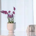 Il Mare 3 Apartman Luxemburg